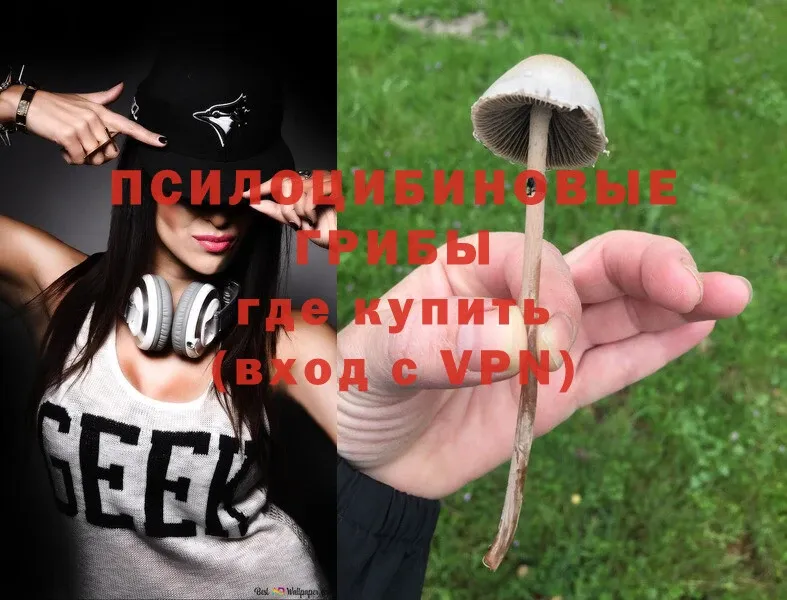 Галлюциногенные грибы Psilocybine cubensis  даркнет клад  Белорецк  магазин продажи  